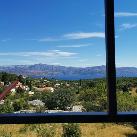 Apartments Plazibat Škrip エクステリア 写真
